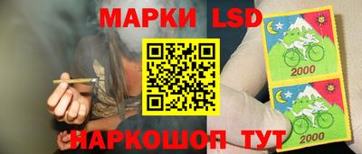 apvp Пугачёв