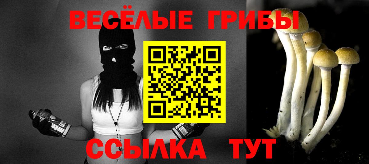 Похвистнево  Галлюциногенные грибы мицелий  Вход с VPN  Галлюциногенные грибы Magic Shrooms 