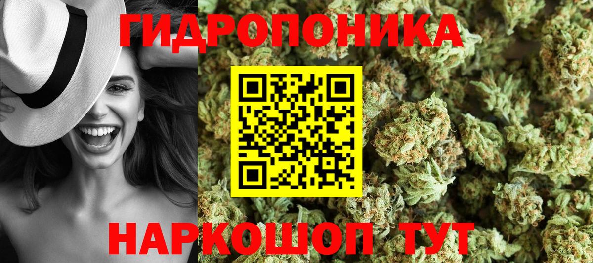 Конопля гибрид  Каннабис ГИДРОПОН  Вход с VPN  Похвистнево  Марихуана Amnesia 